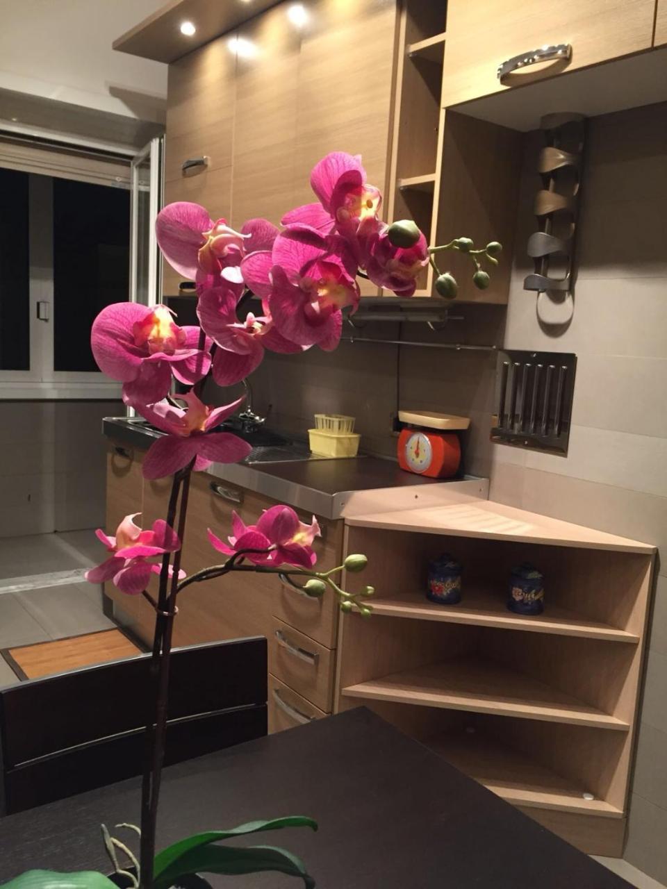 Smart House - Ammiragli2 Apartment Rome Bagian luar foto